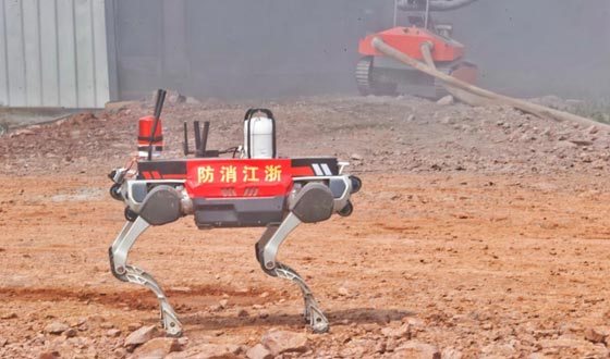 Emergency Mission 2024